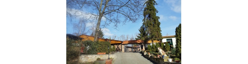 Tierheim Quedlinburg