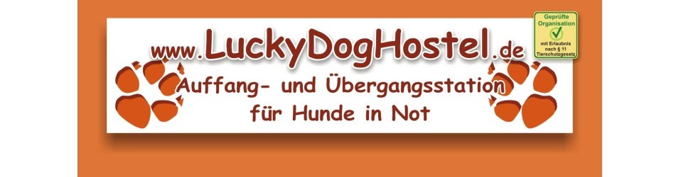 LUCKY DOG HOSTEL Hunde-Senioren-Residenz
