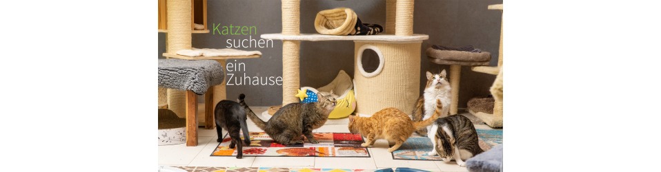 Tierschutz-Team-Koeln e.V.