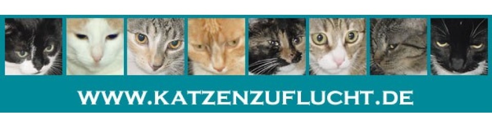 Tierschutzverein Katzenzuflucht e.V.