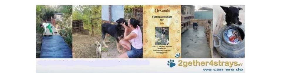2gether4strays e.V.
