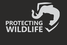 Protecting Wildlife e.V.