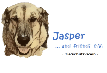 Jasper and friends e.V.