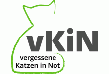 Vergessene Katzen in Not